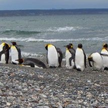 Tierra del Fuego - Chile
